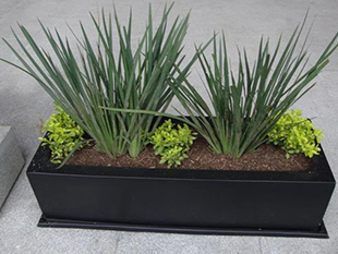 JARDINERA CON PLATO